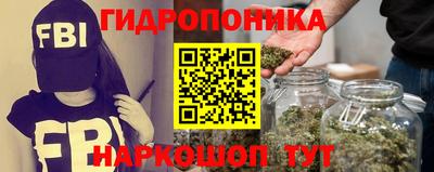 гидра Татарск