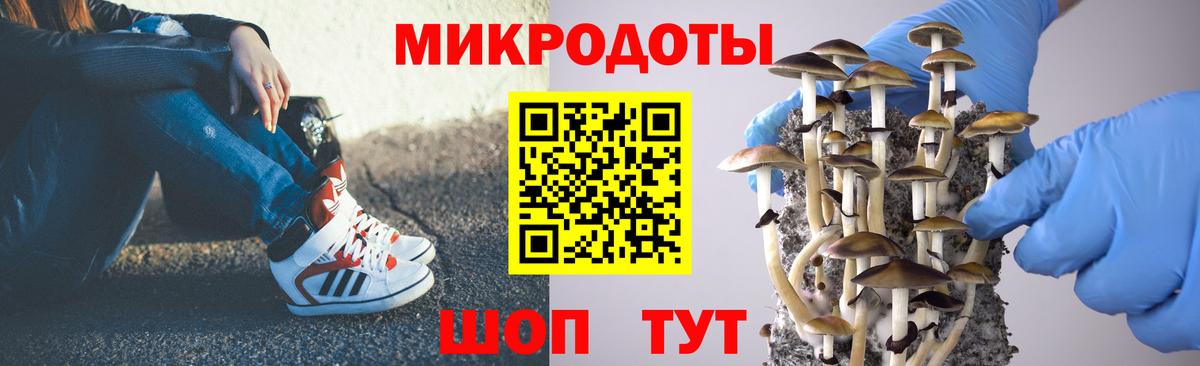 Нефтекумск  Галлюциногенные грибы мицелий  Вход с VPN 