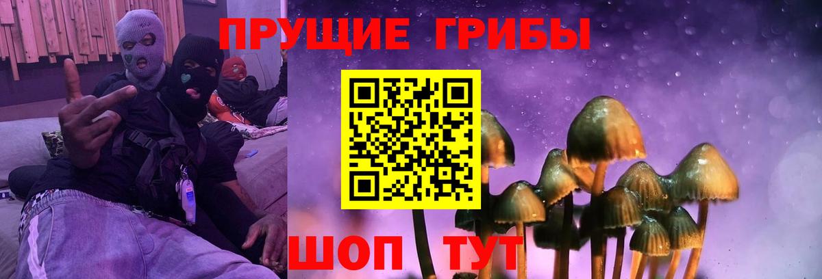 Галлюциногенные грибы мухоморы Нефтекумск